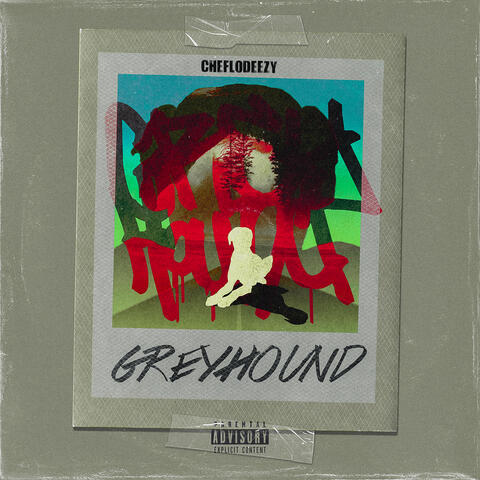 Greyhound