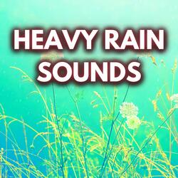 Rain Sounds For Sleep (Loopable,No Fade)