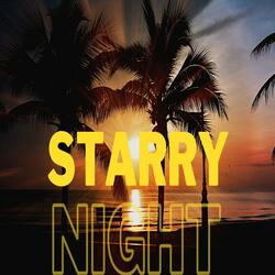 Starry Night