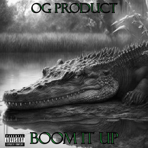 Boom It Up