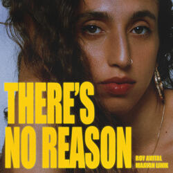 There's No Reason