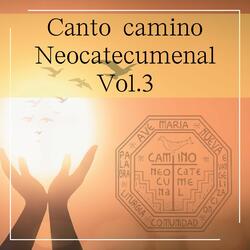 Canto Camino Neocatecumenal Salmo responsorial -modelo 2