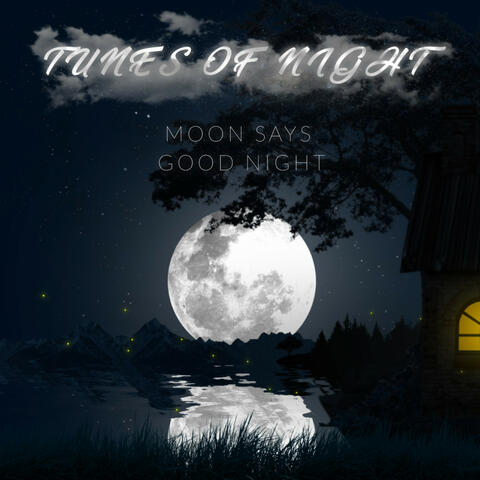 Moon Says Good Night (Tunes of Night)