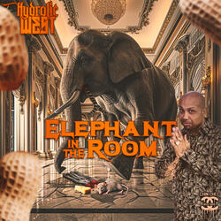 Elephant In The Room