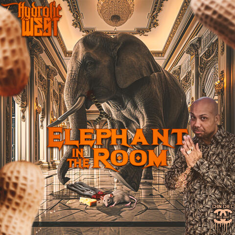 Elephant In The Room