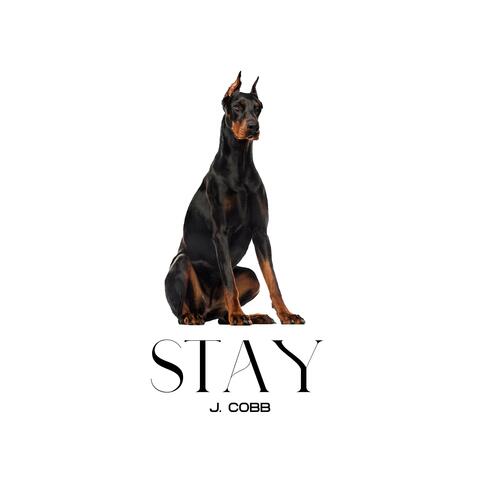Stay