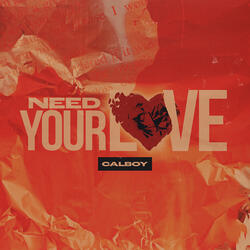 Need Your Love (Instrumental)