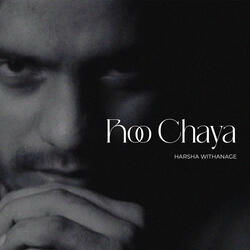 Roo Chaya