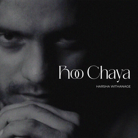 Roo Chaya