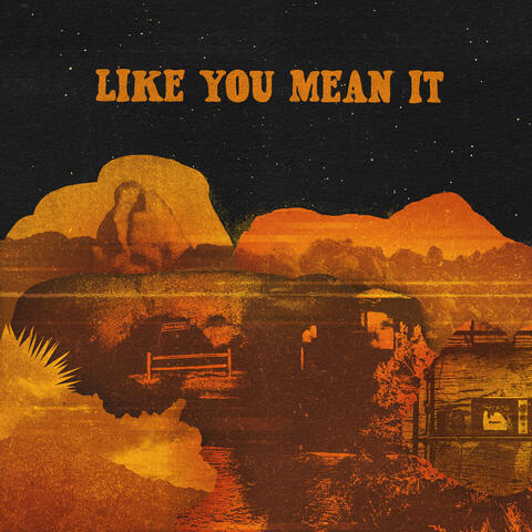 Like You Mean It