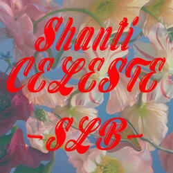 SLB