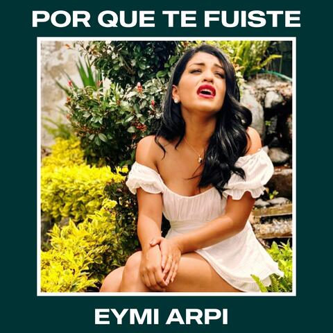 Por que te fuiste