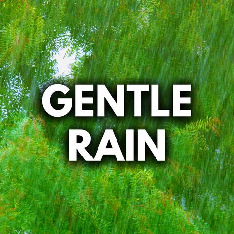 Gentle Rain