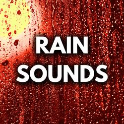 Melodic Raindrops For Deep Sleep