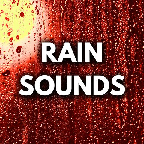 Loop Any Rain Sound Forever (No Fade, No Music)