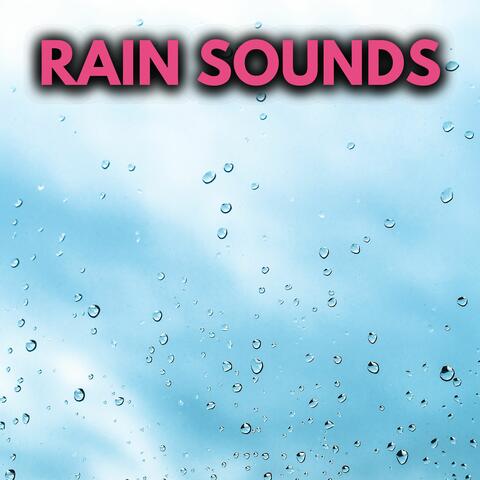 Rain Sounds (Loop All Night, No Thunder)