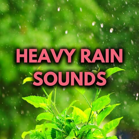 Heavy Rain Sounds