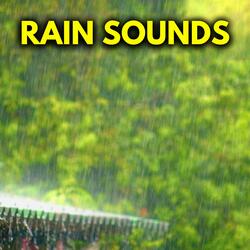 Game Ost White Noise Rain