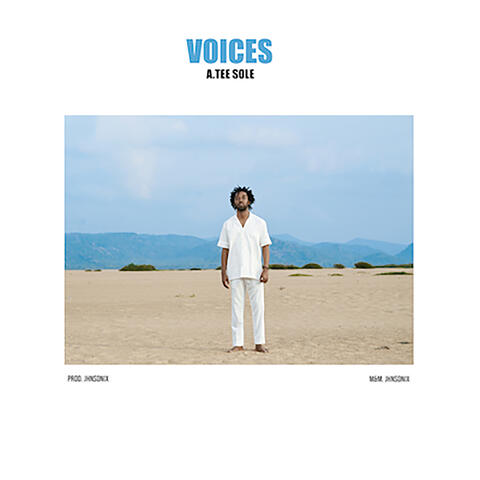 Voices