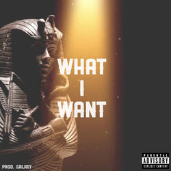 What I Want