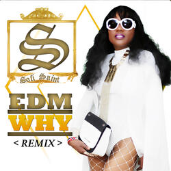 Why (Edm Remix)