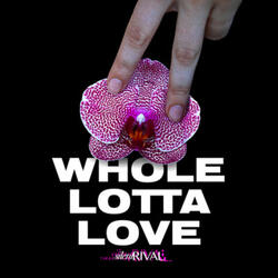 Whole Lotta Love