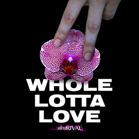 Whole Lotta Love