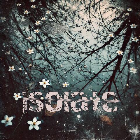 isolate