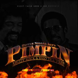 These Niggas Ain't Pimpin'
