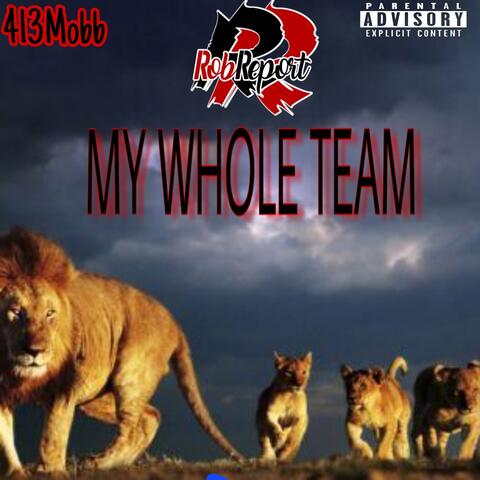 My Whole Team