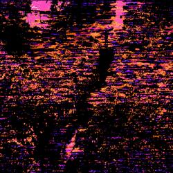 Dweller