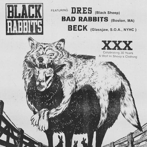 Black Rabbits