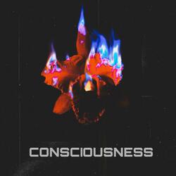 Consciousness