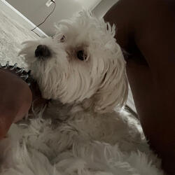 Play Wit Me