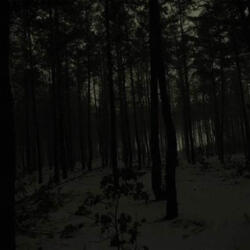 Separate Ways