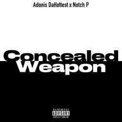 Concealed Weapon