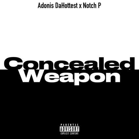 Concealed Weapon