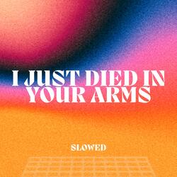 (I Just) Died in Your Arms