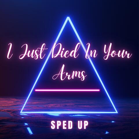(I Just) Died in Your Arms