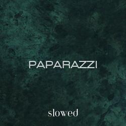I'm Your Biggest Fan I'll Follow You Papa Paparazzi (Paparazzi)