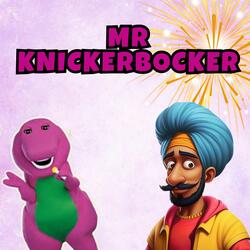Mr.knickerbocker