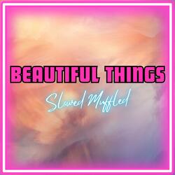 These Beautiful Things That I've Got (Beautiful Things)