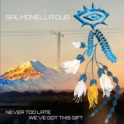 NEVER TOO LATE - WE'VE GOT THIS GIFT
