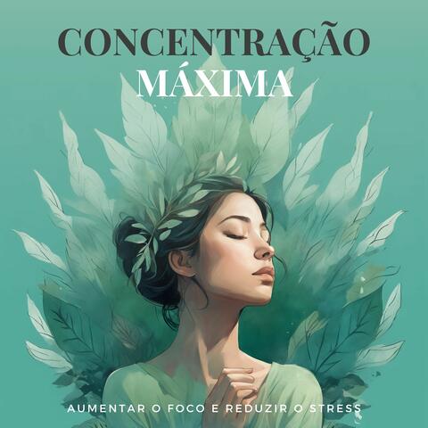 Concentração Máxima: Música para Aumentar o Foco e Reduzir o Stress