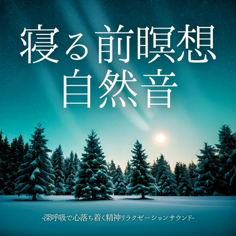 寝る前瞑想自然音：森林水音鳥のさえずり・心落ち着く静かな夜の集中