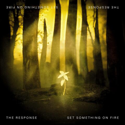 Set Something On Fire