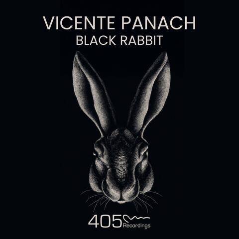 Black Rabbit