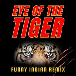 Eye of the Tiger