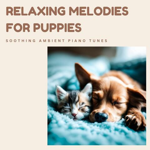Relaxing Melodies for Puppies - Soothing Ambient Piano Tunes for Your Adorable Pet's Healing and Calm