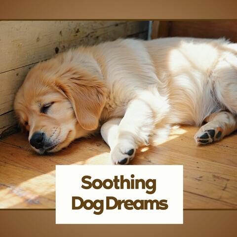 Soothing Dog Dreams: Soothing Violin & Cello Melodies for Pet Calmness and Pure Sleep